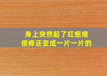 身上突然起了红疙瘩很痒还变成一片一片的