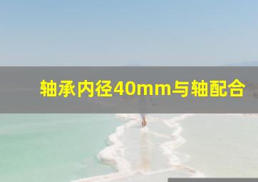 轴承内径40mm与轴配合