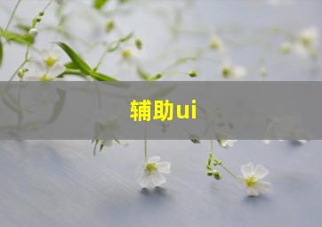 辅助ui