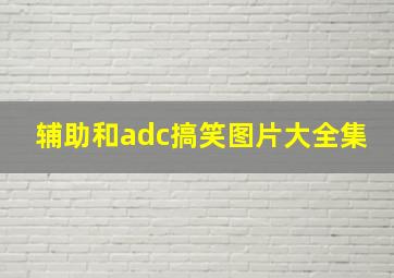 辅助和adc搞笑图片大全集