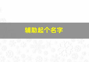 辅助起个名字