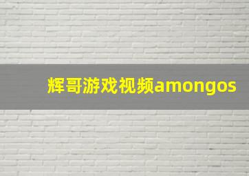 辉哥游戏视频amongos