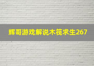 辉哥游戏解说木筏求生267