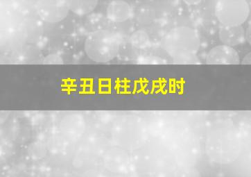 辛丑日柱戊戌时