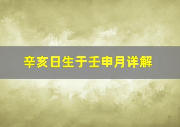 辛亥日生于壬申月详解