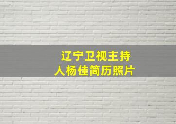 辽宁卫视主持人杨佳简历照片