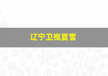 辽宁卫视夏雪