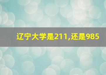 辽宁大学是211,还是985