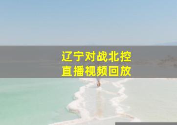 辽宁对战北控直播视频回放