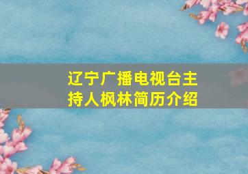 辽宁广播电视台主持人枫林简历介绍