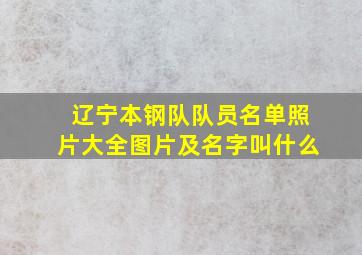 辽宁本钢队队员名单照片大全图片及名字叫什么