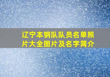 辽宁本钢队队员名单照片大全图片及名字简介