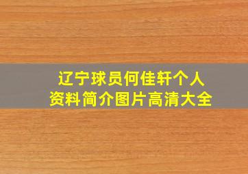 辽宁球员何佳轩个人资料简介图片高清大全