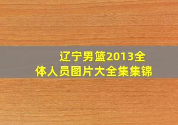 辽宁男篮2013全体人员图片大全集集锦