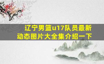 辽宁男篮u17队员最新动态图片大全集介绍一下