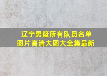 辽宁男篮所有队员名单图片高清大图大全集最新