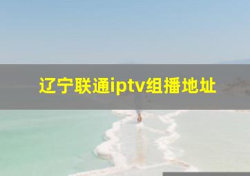 辽宁联通iptv组播地址