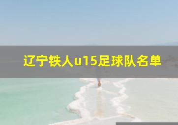 辽宁铁人u15足球队名单