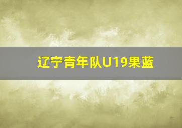 辽宁青年队U19果蓝