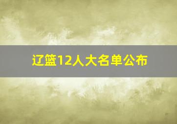 辽篮12人大名单公布