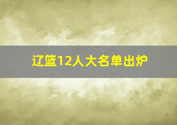 辽篮12人大名单出炉