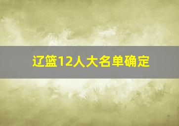 辽篮12人大名单确定