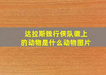 达拉斯独行侠队徽上的动物是什么动物图片