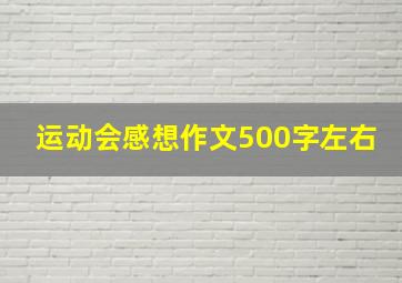 运动会感想作文500字左右