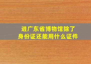 进广东省博物馆除了身份证还能用什么证件