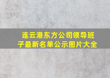 连云港东方公司领导班子最新名单公示图片大全