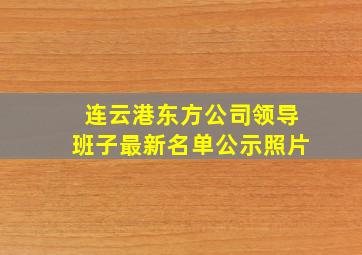 连云港东方公司领导班子最新名单公示照片