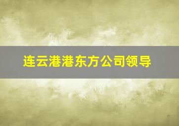 连云港港东方公司领导