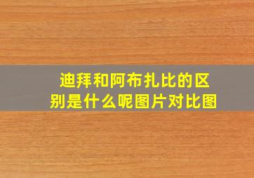 迪拜和阿布扎比的区别是什么呢图片对比图