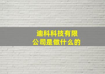 迪科科技有限公司是做什么的