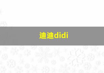 迪迪didi