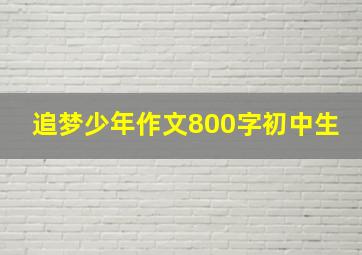 追梦少年作文800字初中生