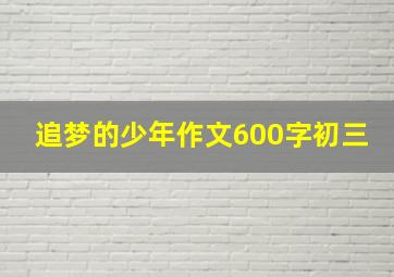 追梦的少年作文600字初三