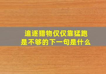 追逐猎物仅仅靠猛跑是不够的下一句是什么