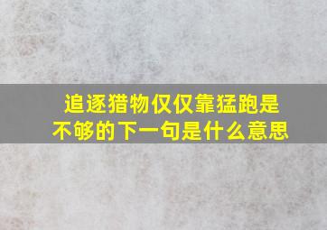 追逐猎物仅仅靠猛跑是不够的下一句是什么意思