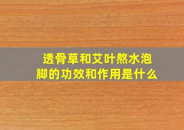 透骨草和艾叶熬水泡脚的功效和作用是什么