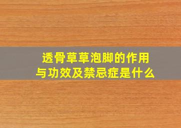 透骨草草泡脚的作用与功效及禁忌症是什么