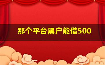 那个平台黑户能借500