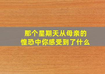 那个星期天从母亲的惶恐中你感受到了什么