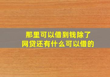 那里可以借到钱除了网贷还有什么可以借的