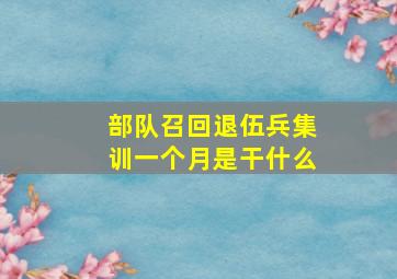 部队召回退伍兵集训一个月是干什么