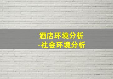 酒店环境分析-社会环境分析