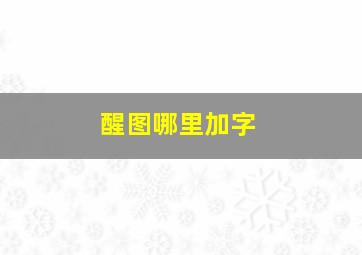 醒图哪里加字