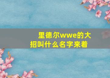 里德尔wwe的大招叫什么名字来着