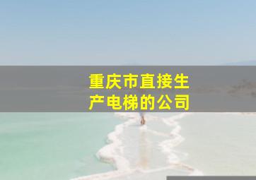 重庆市直接生产电梯的公司