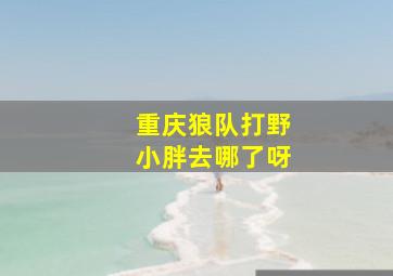 重庆狼队打野小胖去哪了呀